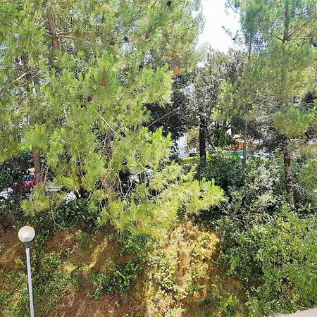 Maisonnette De A 200m De La Avec Terrasse A - Fr-1-550-84 *